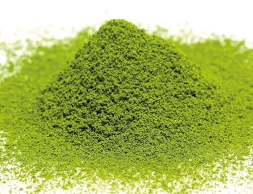 Té Matcha: Procedencia y producción.