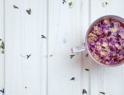 Infusiones y propiedades: flores que se utilizan para su elaboración