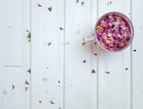 Infusiones y propiedades: flores que se utilizan para su elaboración