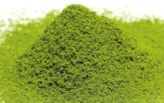Té Matcha: Procedencia y producción