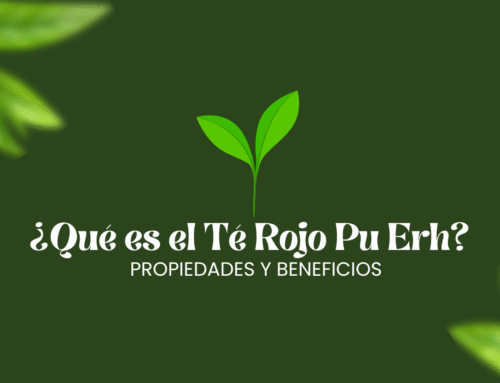 Qué es el Té Rojo Pu Erh: propiedades y beneficios.