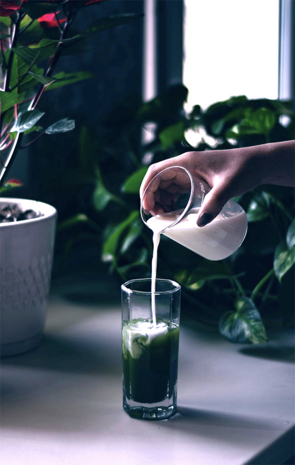 Mejores variedades para disfrutar el té con leche