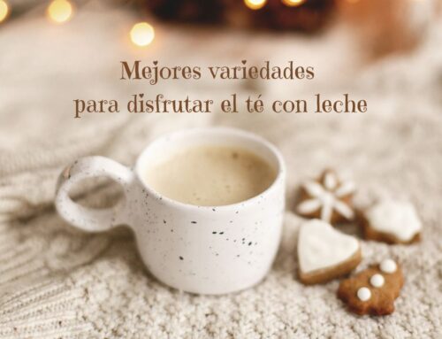 Mejores variedades para disfrutar el té con leche